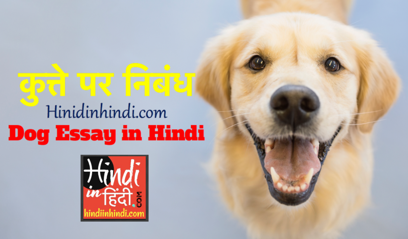 Essay on my dog in hindi
