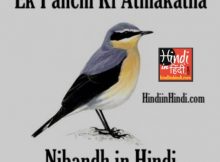 Ek Panchi Ki Atmakatha Nibandh in Hindi