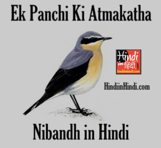 Ek Panchi Ki Atmakatha Nibandh in Hindi