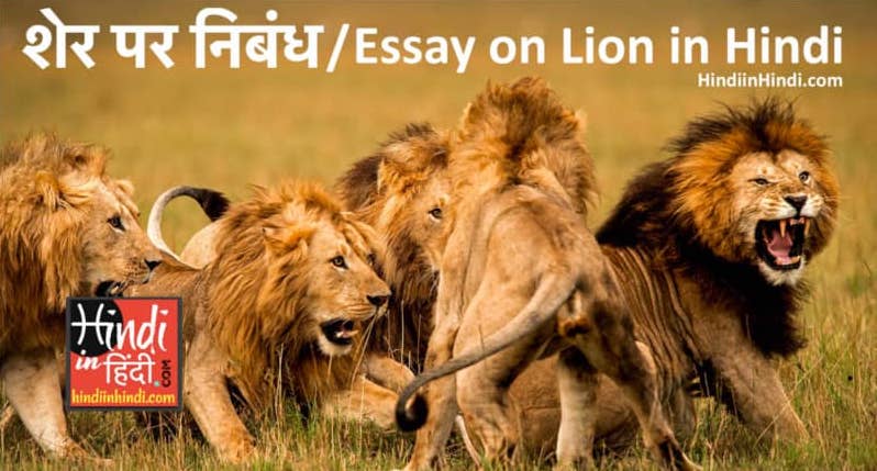 Essay on Lion in Hindi